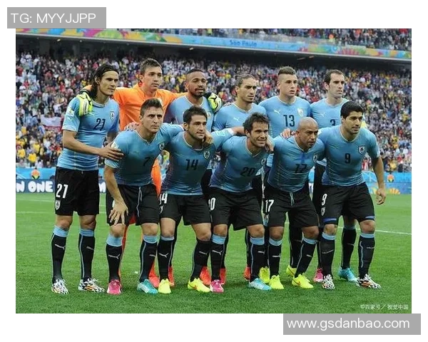 全球足球明星女友排行榜揭晓她们的魅力与风采不容错过