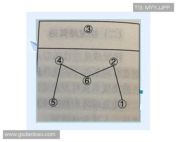 杭州排球队进攻体系解析及战术创新研究