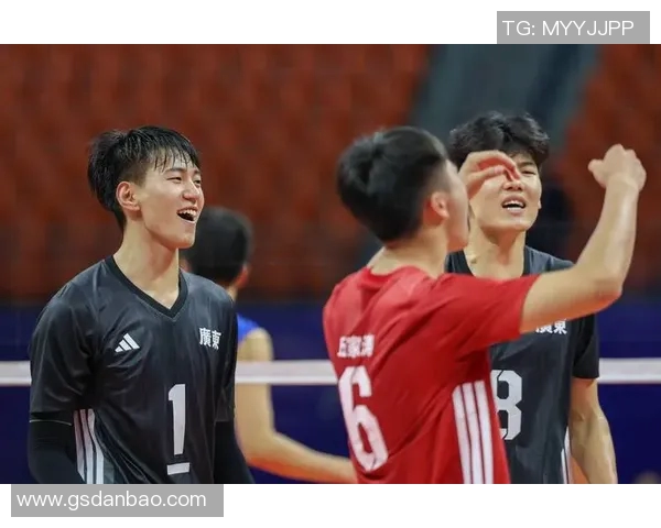 欧锦赛点评:重庆排球队的实力表现 欧锦赛点评:重庆排球队的实力表现